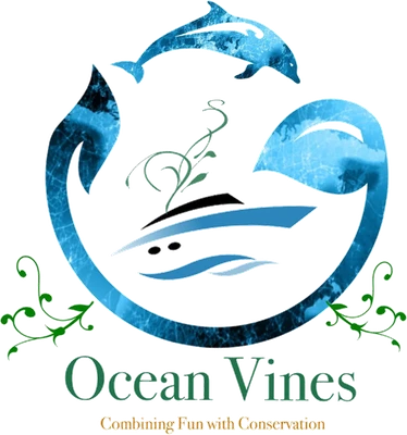 Ocean Vines logo
